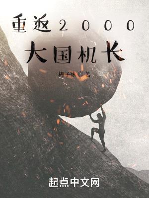 重生2000:大国机长