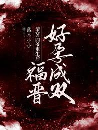 清穿:四爷重生后,福晋好孕成双