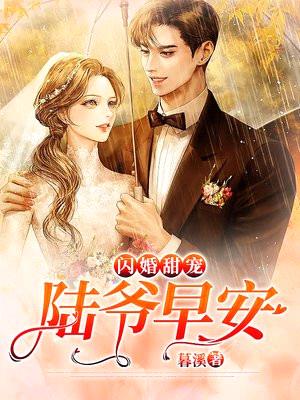 闪婚甜宠:陆爷,早安!